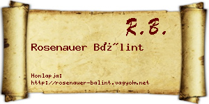 Rosenauer Bálint névjegykártya
