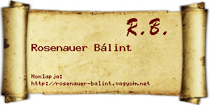 Rosenauer Bálint névjegykártya